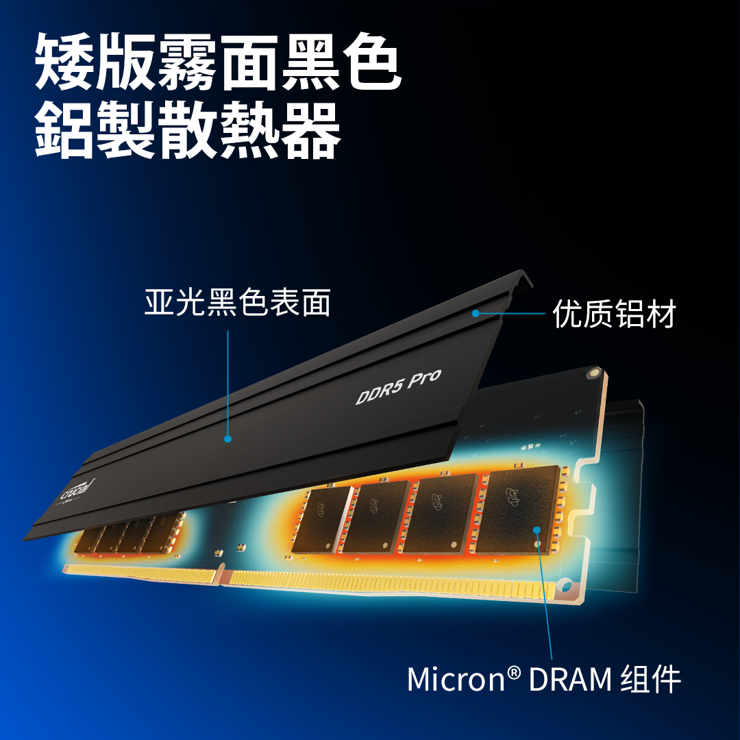 Crucial Pro 96GB Kit (2x48GB) DDR5-5600 UDIMM- view 4