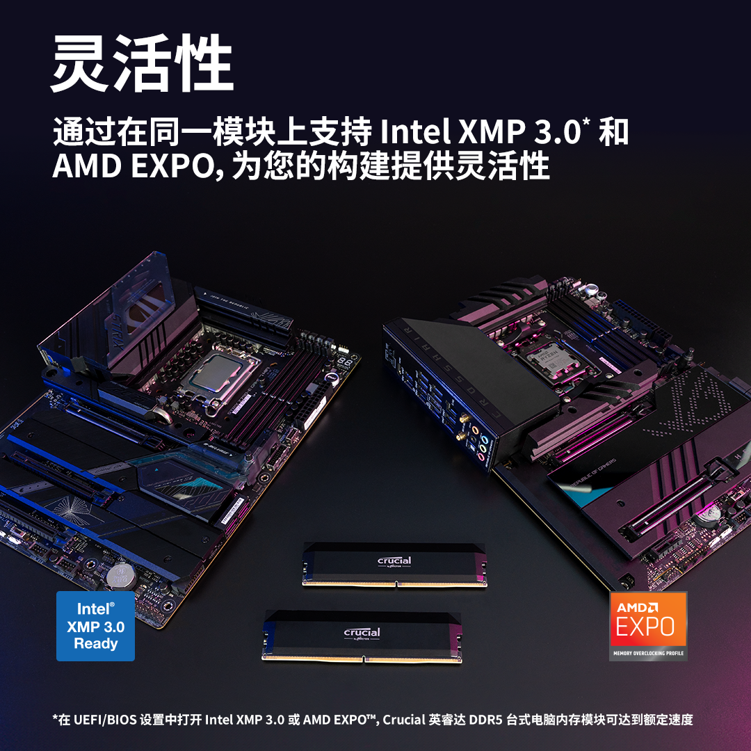 Crucial DDR5 pro overclocking