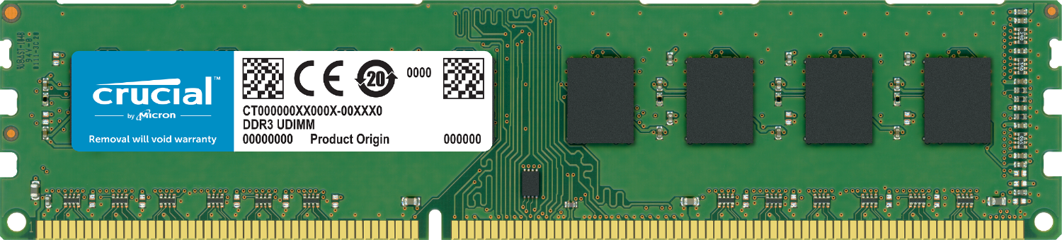 Crucial RAM memory for a computer isolated on a white background
